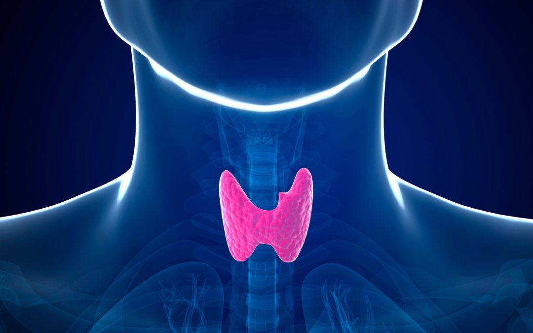 Thyroid: Simple and Powerful Dietary Changes for Hypothyroidism & Hashimoto’s